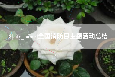 博罗全国消防日主题活动总结