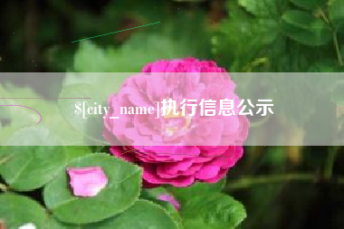 博罗执行信息公示