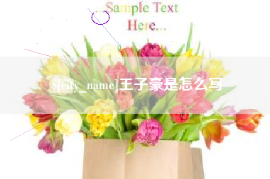 博罗王子豪是怎么写