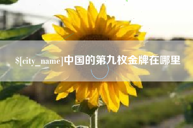 博罗中国的第九枚金牌在哪里