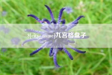 博罗九宫格盘子