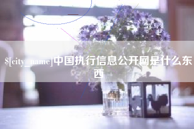 博罗中国执行信息公开网是什么东西