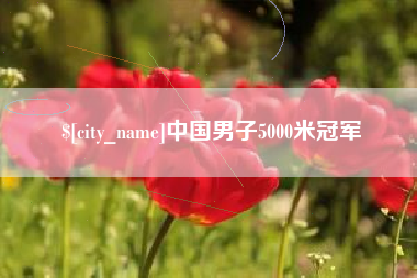 博罗中国男子5000米冠军