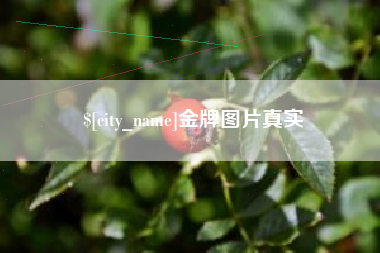 博罗金牌图片真实