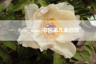 博罗中国第九金回放