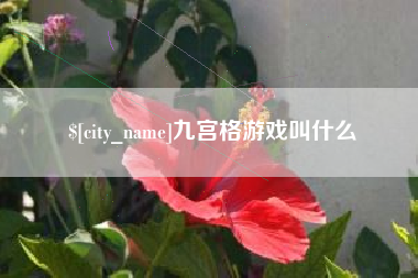 博罗九宫格游戏叫什么