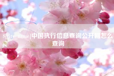 博罗中国执行信息查询公开网怎么查询