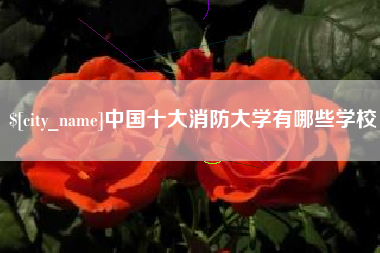 博罗中国十大消防大学有哪些学校