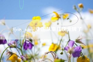 博罗中国队拿几块金牌了