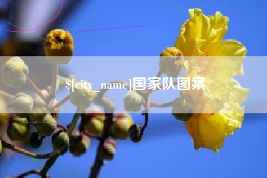 博罗国家队图案