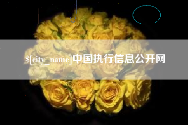 博罗中国执行信息公开网