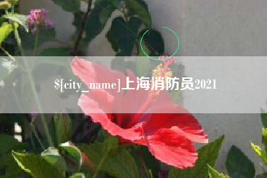 博罗上海消防员2021