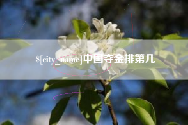博罗中国夺金排第几