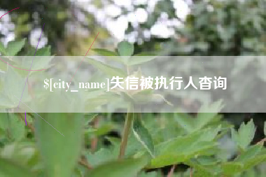 博罗失信被执行人杳询
