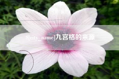 博罗九宫格的来源