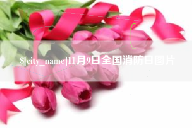 博罗11月9日全国消防日图片