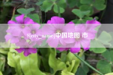 博罗中国地图 市