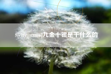 博罗九金十银是干什么的
