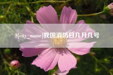 博罗我国消防日几月几号