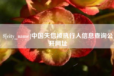 博罗中国失信被执行人信息查询公开网址