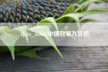 博罗中国冠军九宫格