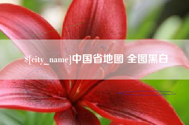 博罗中国省地图 全图黑白