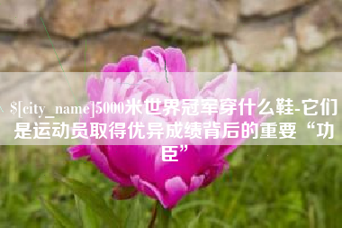 博罗5000米世界冠军穿什么鞋-它们是运动员取得优异成绩背后的重要“功臣”