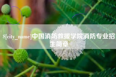 博罗中国消防救援学院消防专业招生简章