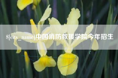 博罗中国消防救援学院今年招生