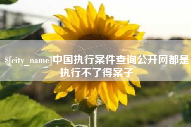 博罗中国执行案件查询公开网都是执行不了得案子