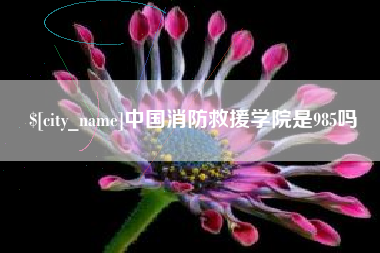 博罗中国消防救援学院是985吗