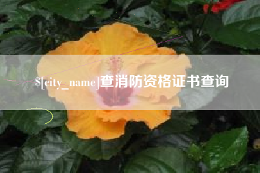 博罗查消防资格证书查询