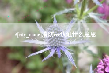 博罗消防ccc认证什么意思