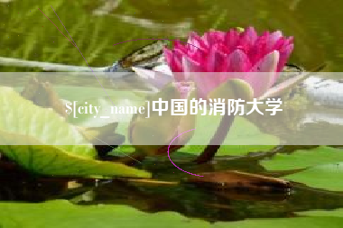 博罗中国的消防大学