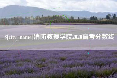 博罗消防救援学院2020高考分数线