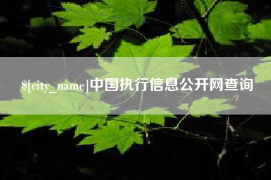 博罗中国执行信息公开网查询