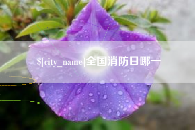 博罗全国消防日哪一