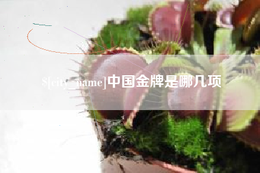 博罗中国金牌是哪几项
