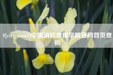 博罗中国消防救援学院官网首页查询