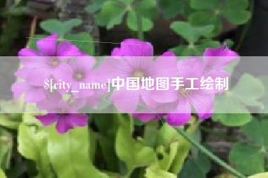 博罗中国地图手工绘制
