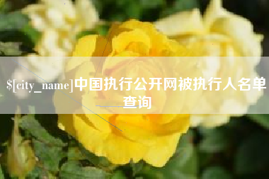 博罗中国执行公开网被执行人名单查询