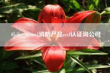 博罗消防产品cccf认证询公司
