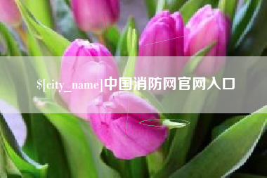 博罗中国消防网官网入口