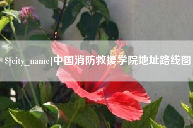 博罗中国消防救援学院地址路线图