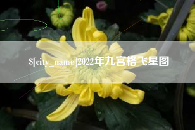 博罗2022年九宫格飞星图