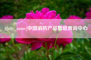 博罗中国消防产品信息查询中心