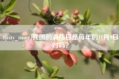 博罗我国的消防日是每年的11月9日对吗？