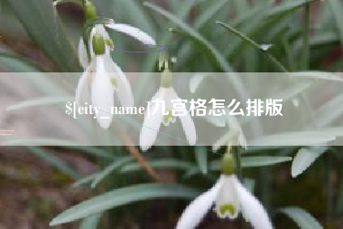 博罗九宫格怎么排版