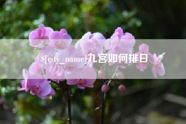 博罗九宫如何排日