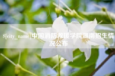 博罗中国消防救援学院湖南招生情况公布